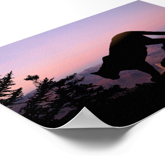 Cougar en Grand Canyon Poster (Hoek)