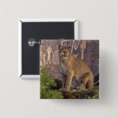 Cougar en Pictografen Vierkante Button 5,1 Cm (Voorkant /achterkant)