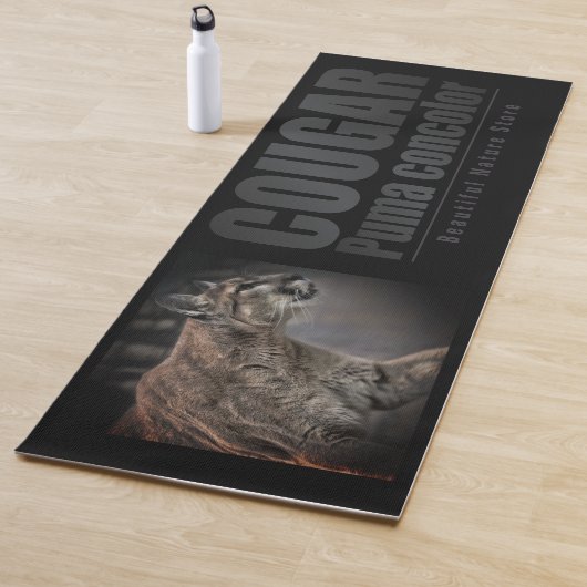 COUGAR:Extra Long Yoga Mat (In situ)