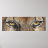 Cougar Eyes #2 Poster (Voorkant)