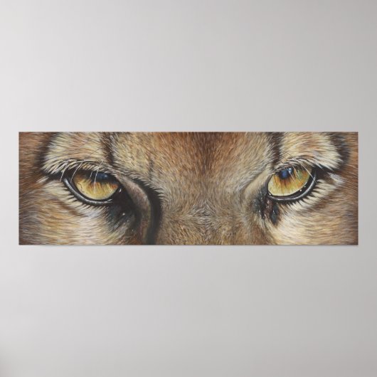 Cougar Eyes #2 Poster (Voorkant)