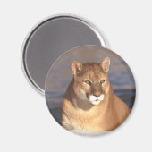 Cougar Face Magneet (Voorkant / Achterkant)