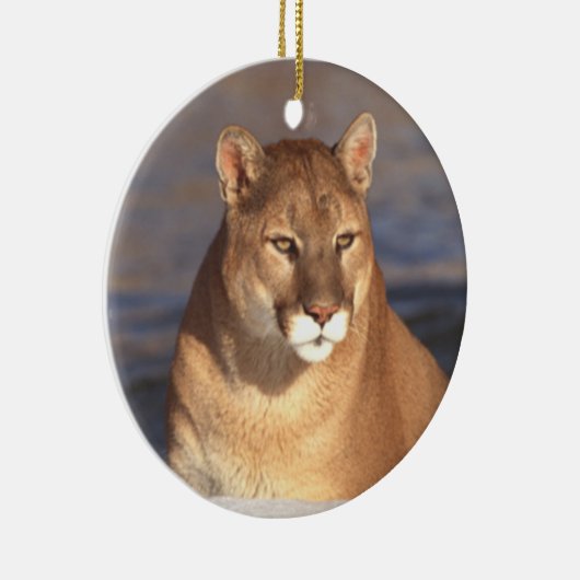 Cougar Face Ornament (Rechts)