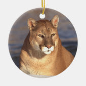 Cougar Face Ornament (Voorkant)