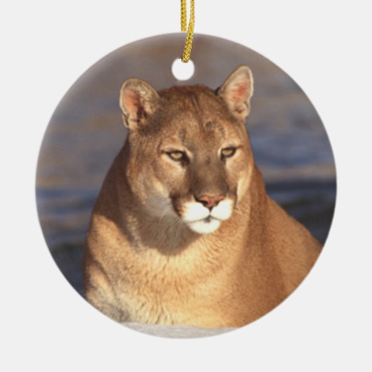 Cougar Face Ornament (Voorkant)