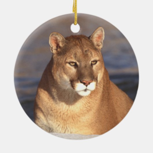 Cougar Face Ornament (Achterkant)