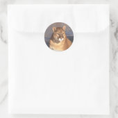 Cougar Face Ronde Sticker (Tas)