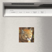 Cougar/Florida Panther Magnet (Insitu (Vaatwasser))