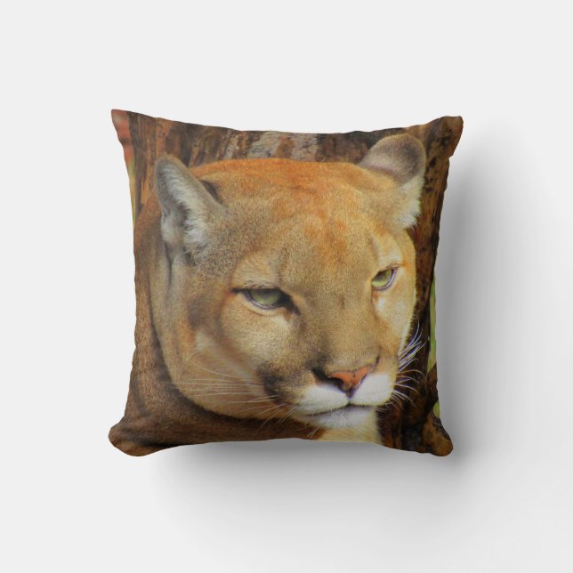 Cougar / Florida Panther / Mountain Lion - Pillow Kussen (Voorkant)