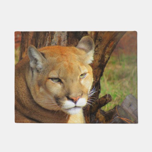 Cougar / Florida Panther / Puma Doormat Deurmat (Voorkant)