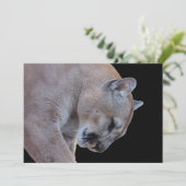 Cougar / Florida Panther / Puma Flat Kaart (Staand voorkant)