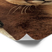 Cougar-foto Poster (Hoek)