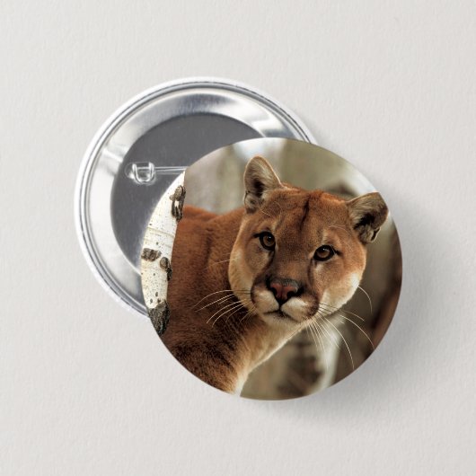 Cougar-foto Ronde Button 5,7 Cm (Voorkant /achterkant)
