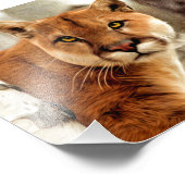 Cougar fotoschilderen foto afdruk (Hoek)