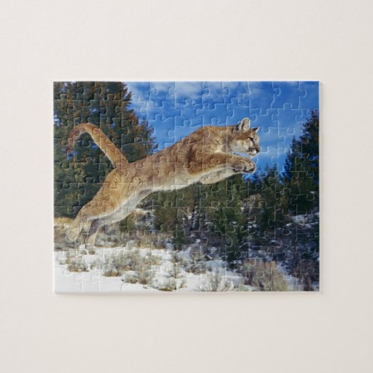 Cougar Game Puzzle Legpuzzel (Horizontaal)