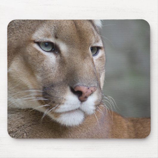COUGAR gezichtsogen macrokatten wild Muismat (Voorkant)