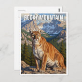 Cougar in het Rocky Mountain National Park Briefkaart (Voorkant / Achterkant)