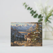 Cougar in Rocky Mountain National Park Travel Briefkaart (Staand voorkant)
