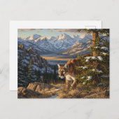 Cougar in Rocky Mountain National Park Travel Briefkaart (Voorkant / Achterkant)