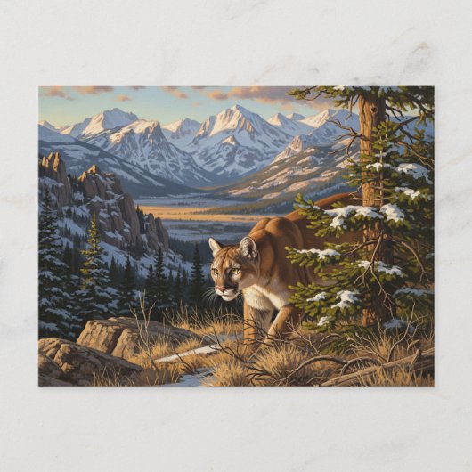 Cougar in Rocky Mountain National Park Travel Briefkaart (Voorkant)