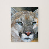 Cougar Legpuzzel (Verticaal)