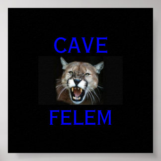 COUGAR let op het Latijn van de kat. - Poster