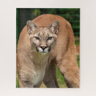 Cougar Lion Jigsaw Puzzle Legpuzzel