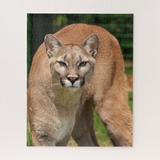 Cougar Lion Jigsaw Puzzle Legpuzzel (Verticaal)
