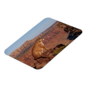 Cougar Magnet Magneet (Linkerzijde)