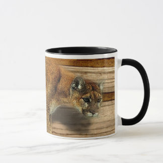 COUGAR MOK