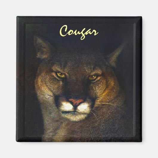 Cougar Mountain Lion Big Cat Art Designer Magneet (Voorkant)