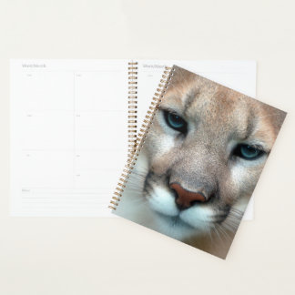Cougar Mountain Lion Cat Animal Destiny's Destiny Planner