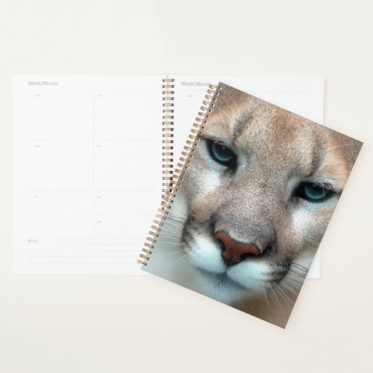 Cougar Mountain Lion Cat Animal Destiny's Destiny Planner (Display)