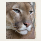 Cougar Mountain Lion Cat Animal Destiny's Destiny Planner (Achterkant)