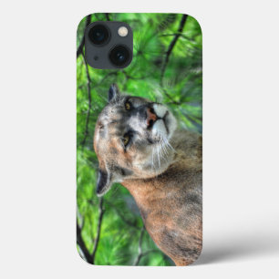 Cougar Mountain Lion en zomerdennen Case-Mate iPhone Case