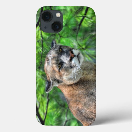 Cougar Mountain Lion en zomerdennen Case-Mate iPhone Case (Achterkant)