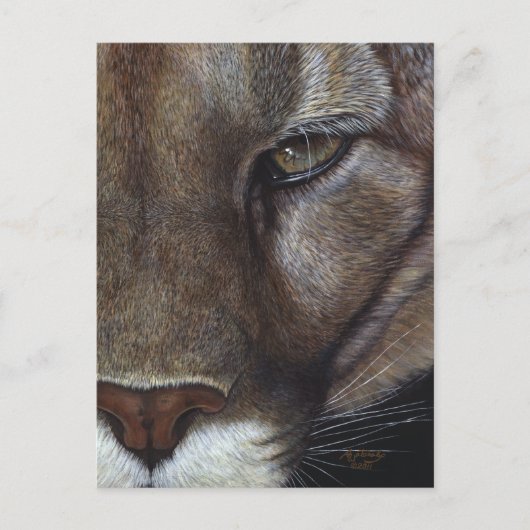 Cougar Mountain Lion Face Briefkaart (Voorkant)