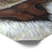 Cougar Mountain Lion Face Poster (Hoek)