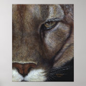Cougar Mountain Lion Face Poster (Voorkant)