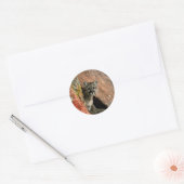 Cougar - Mountain Lion Foto Ronde Sticker (Envelop)