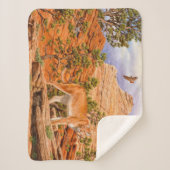 Cougar Mountain Lion in Zion National Park Sherpa Deken (Voorkant)