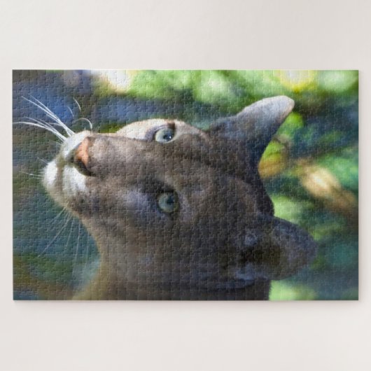 Cougar Mountain Lion. Legpuzzel (Horizontaal)