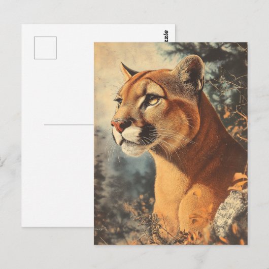 Cougar Mountain Lion Portrait Postkarte Briefkaart (Voorkant / Achterkant)