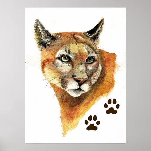 Cougar Mountain Lion Print (Voorkant)