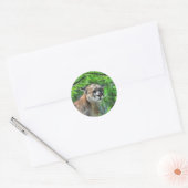 Cougar Mountain Lion & Summer Pines Wildlife Afbee Ronde Sticker (Envelop)