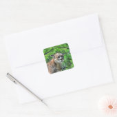 Cougar Mountain Lion & Summer Pines Wildlife Afbee Vierkante Sticker (Envelop)