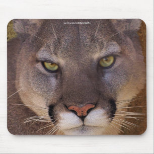 COUGAR Mountain Lion Wildlife Mousepad Muismat