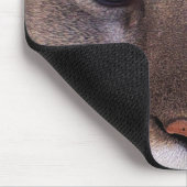 COUGAR Mountain Lion Wildlife Mousepad Muismat (Hoek)
