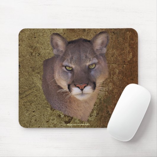COUGAR Mountain Lion Wildlife Mousepad Muismat (Met muis)
