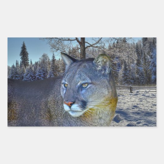 Cougar Mountain Lion & Winter Tree Wilde Afbeeldin Rechthoekige Sticker (Voorkant)